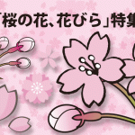 桜の花、花びらイラスト【特集】