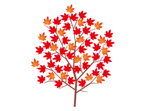 紅葉の木 イラスト 無料イラスト かわいいフリー素材 画像 写真 の フリーダ