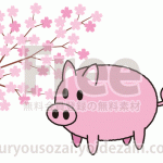 桜と豚のイラスト
