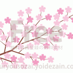 桜の枝【イラスト】フリー素材