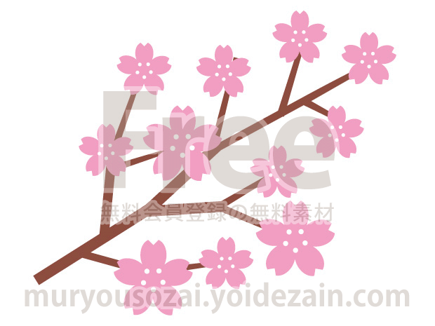 桜の枝【イラスト】シンプルな絵