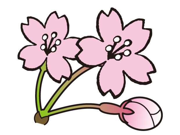 桜の花とつぼみ イラスト 無料イラスト かわいいフリー素材 画像 写真 の フリーダ