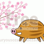 桜と亥（猪） のイラスト
