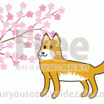 桜と戌【犬（狗）】のイラスト