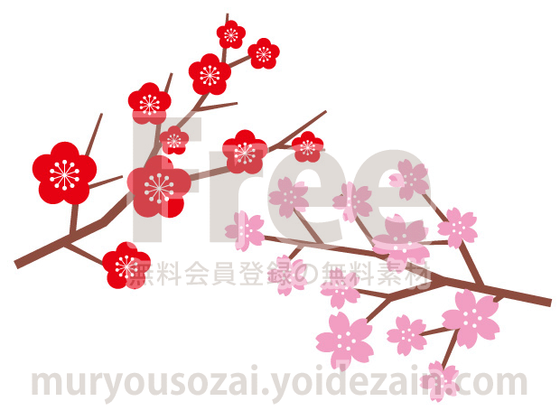 ume_sakura